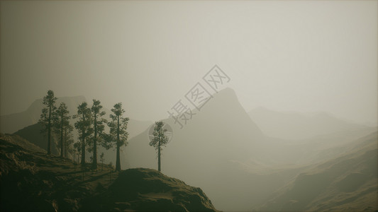 山坡上的薄雾森林图片