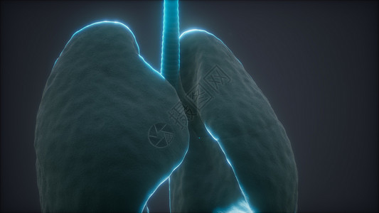 人类肺的三维动画背景