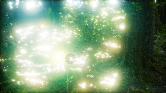 萤火虫绿色的森林里飞行萤火虫森林里飞行高清图片