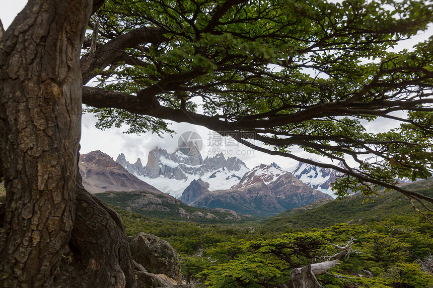 阿根廷南部的巴塔哥尼亚景观图片