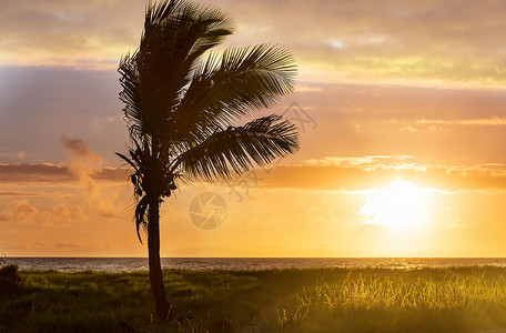 美丽的热带景观,海洋,夏季日落,自然背景图片