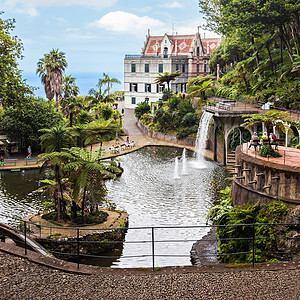 托米斯勒尼科王蒙特宫托皮坎花园孔查尔,马德拉岛,葡萄牙背景