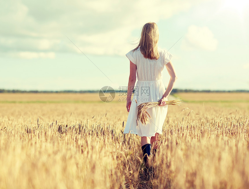 幸福,自然,暑假,假期人的年轻的女人带着谷物小穗田野上行走年轻的女人带着谷物小穗田野上行走图片