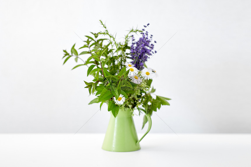 园艺,植物有机束草药花绿色水壶桌子上桌子上绿色水壶里的束草药花图片