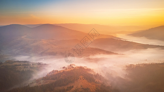早上立了秋美丽秋山的空中全景日出山间雾谷上早上雾蒙蒙的林地乌克兰喀尔巴阡山脉背景