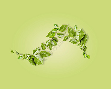 弯曲的绿叶树枝浅绿色的背景上,顶部的景色您的环保产品的地方图片