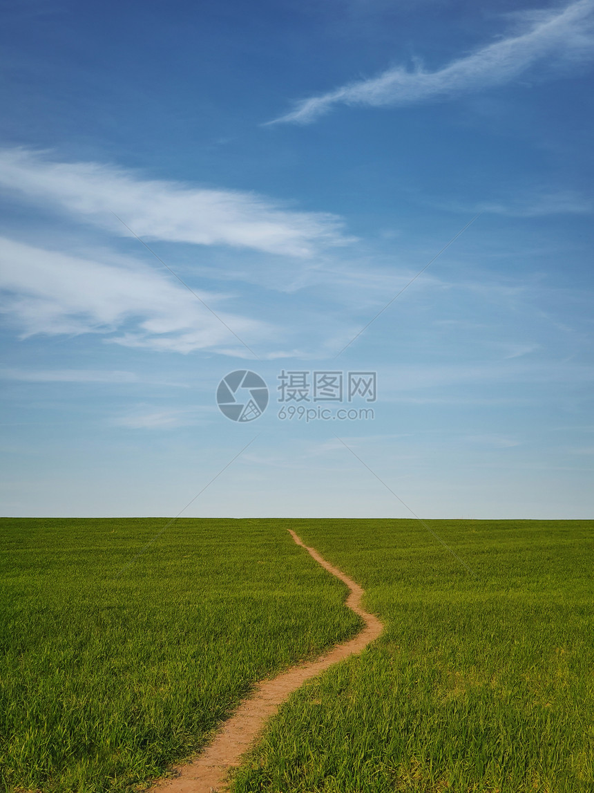 狭窄的小径穿过蓝天下生长的小麦绿田自然弹簧垂直方向极简主义背景宁静的场景与条通往地平线的道路,田园般的乡村景观图片