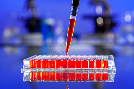 实验室血液测试或实验室测试样本的血液或红色溶液与吸管96个井细胞托盘,显微镜设备背景背景图片