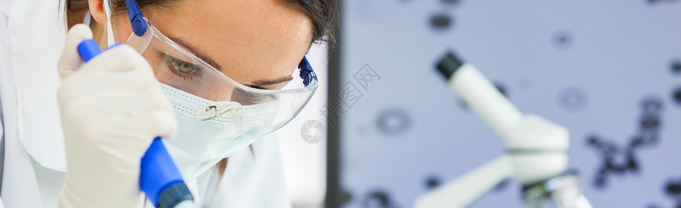 全景女医学或研究科学家或医生用观察吸管显微镜实验室或实验室头全景图片