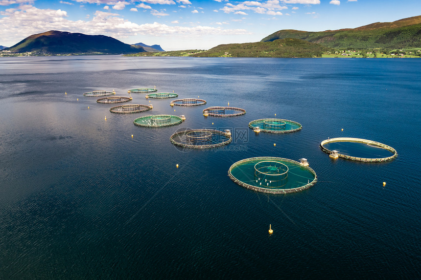 农场鲑鱼捕鱼挪威航空摄影图片