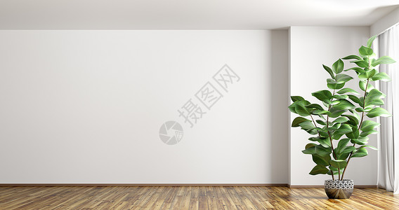 空的内部背景,房间白色墙壁,花瓶与植物窗户三维渲染图片