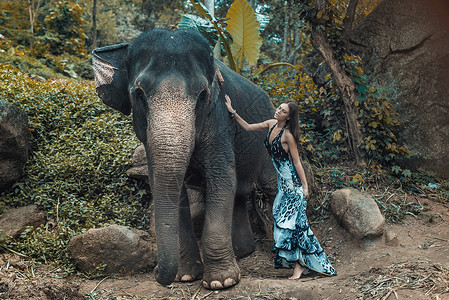 漂亮的年轻女人拥抱大象图片