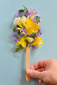 手冰棒春天的花朵图片