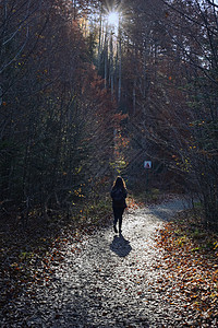 带着背包的年轻女孩正逆着太阳穿过森林图片