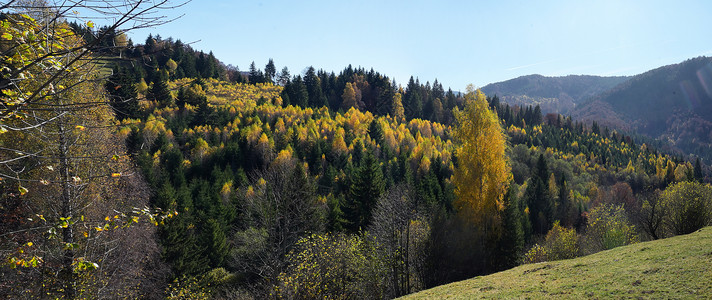 罗马尼亚山上阳光明媚的秋天森林图片