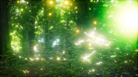 萤火虫绿色的森林里飞行萤火虫森林里飞行高清图片