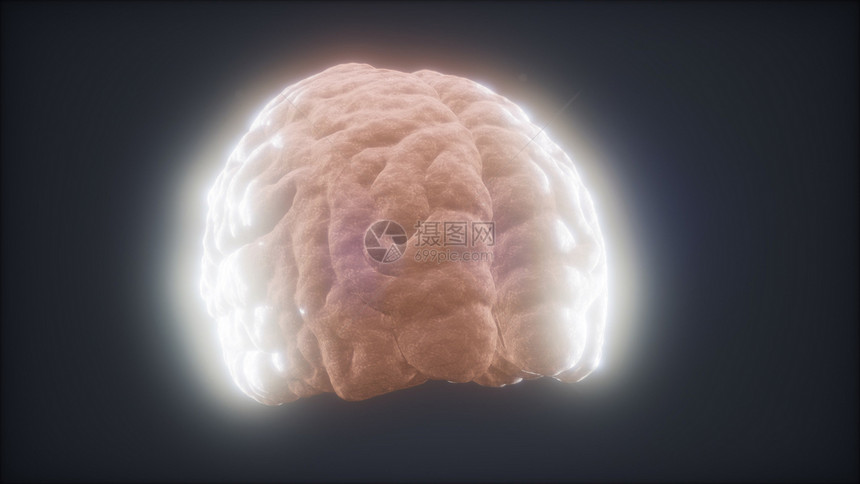 循环人脑动画图片