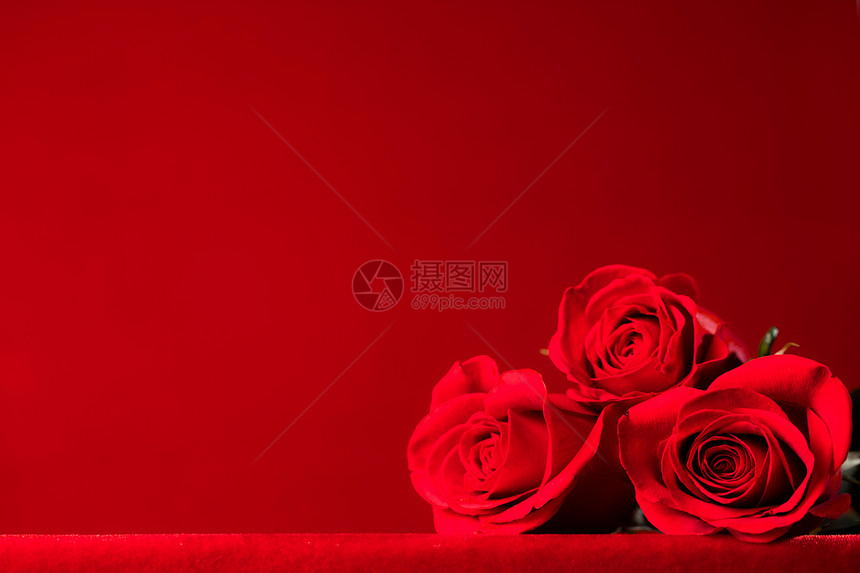 三朵美丽的红色玫瑰,红色背景,三朵美丽的红玫瑰图片