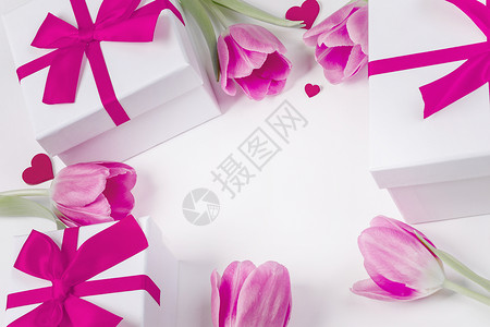 粉红色白色郁金香花礼物图片