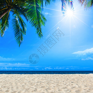 棕榈热带海滩,大海蓝天与太阳的背景,的文字棕榈热带海滩图片