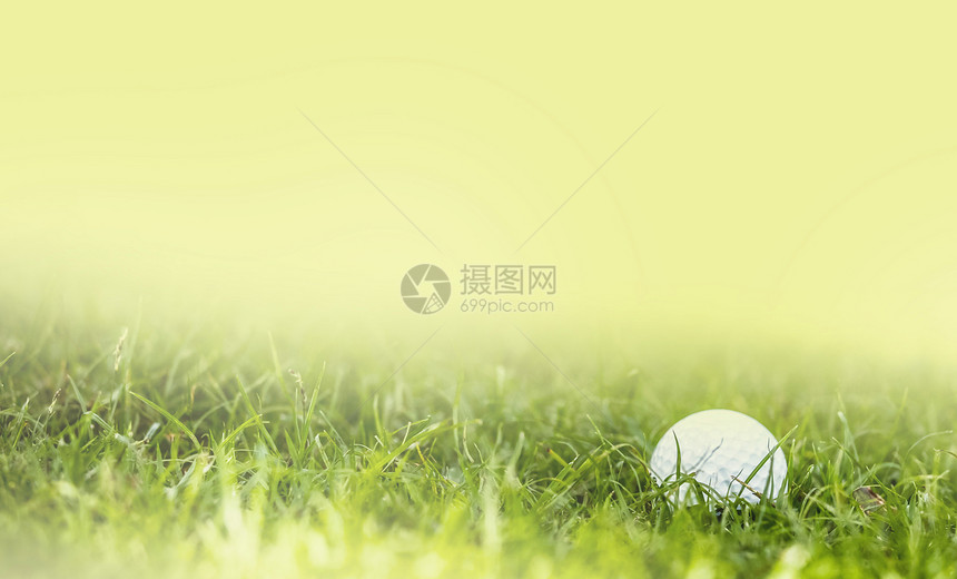 高尔夫球绿草观特写绿色草地上的高尔夫球图片