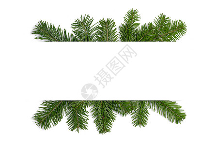 自然冷杉圣诞树边框隔离白色,为文本冷杉树枝架白色上背景图片