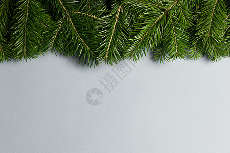 自然冷杉圣诞树边框白色,为文本冷杉树枝架白色上图片