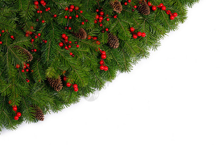 圣诞边框的树枝,红色浆果松果白色背景与隔离圣诞树树枝的圣诞框架背景图片