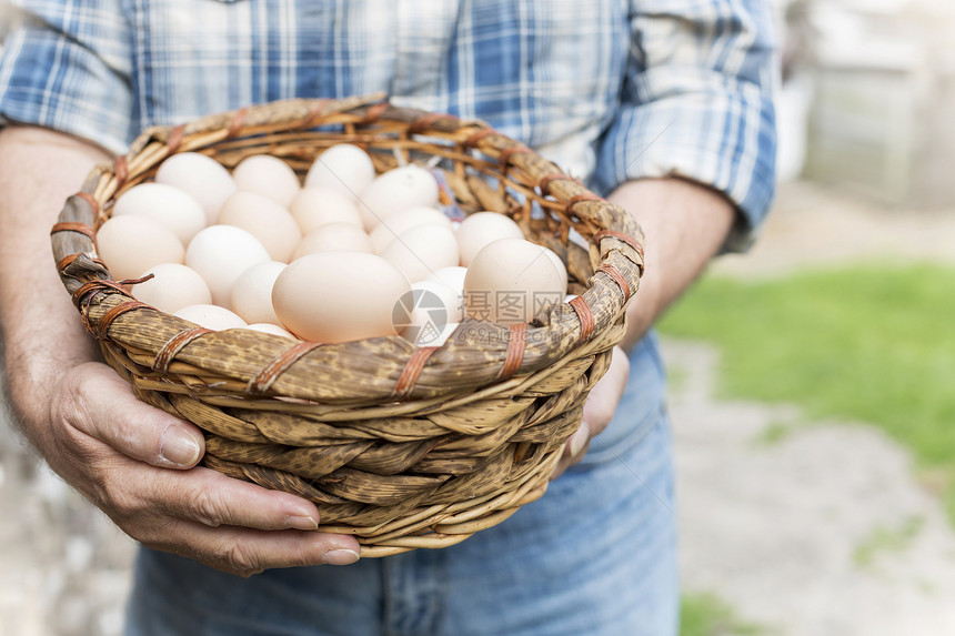 农场的柳条篮子里装着鸡蛋的农民的中段图片