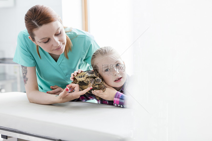 医生看着女孩兽医诊所听乌龟图片