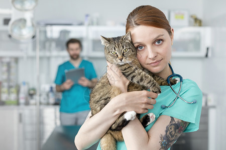 医生拥抱猫的肖像,同时站兽医诊所反同事背景图片