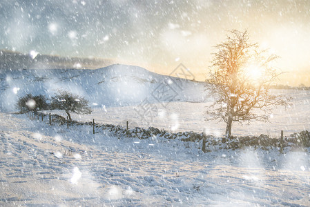 大雪纷飞的日出覆盖了冬天的田野,暴风雪中的风景风景背景图片
