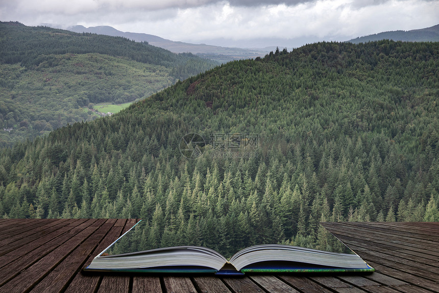 美丽的景观形象,悬崖上走斯诺登尼亚,俯瞰巴茅斯科德伊布林森林,神奇的故事书页中出来图片
