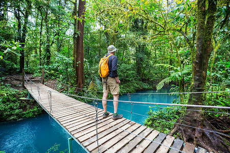 徒步旅行绿色热带丛林,哥斯达黎加,洲的高清图片素材