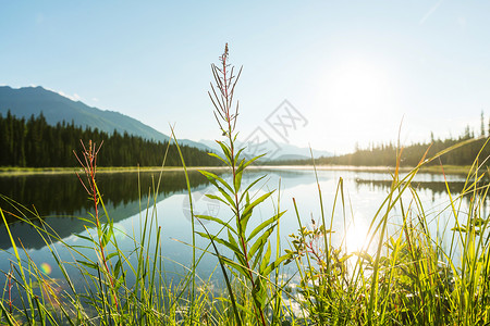 麦金利山阿拉斯加苔原的宁静湖背景