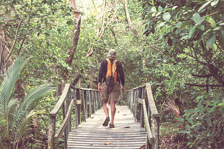 徒步旅行绿色热带丛林,哥斯达黎加,洲瀑布高清图片素材