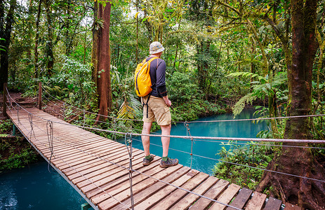 徒步旅行绿色热带丛林,哥斯达黎加,洲背包客高清图片素材