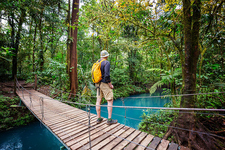 徒步旅行绿色热带丛林,哥斯达黎加,洲自然高清图片素材