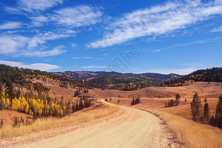 阳光明媚的早晨,乡间道路上五彩缤纷的秋天景象高清图片