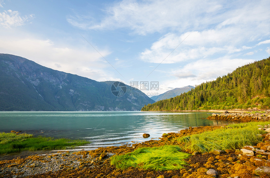 美丽的海岸线日落贝拉科拉,加大图片