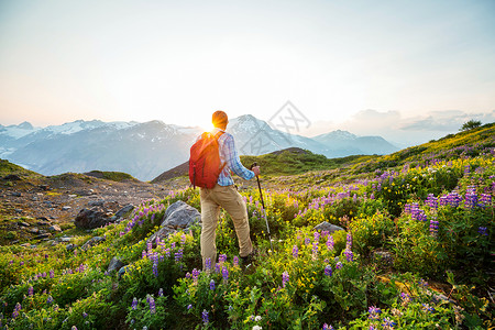 加大山区徒步旅行的人徒步旅行北美最受欢迎的娱乐活动有很多风景如画的小径美国高清图片素材