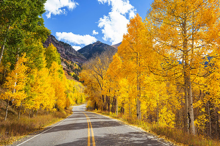 阳光明媚的早晨,乡间道路上五彩缤纷的秋天景象高清图片