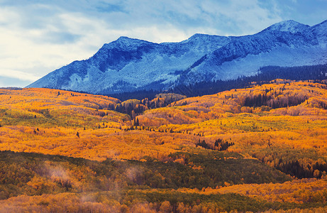 美国科罗拉多州五颜六色的黄色秋天秋天的季节高清图片