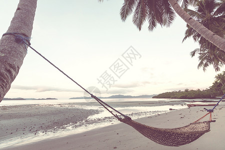 热带天堂海滩有棕榈树传统的编织吊床背景图片