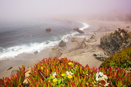 美国加州太平洋海岸图片