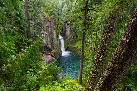 哥伦比亚峡谷美丽的瀑布绿色森林,俄勒冈州,美国背景