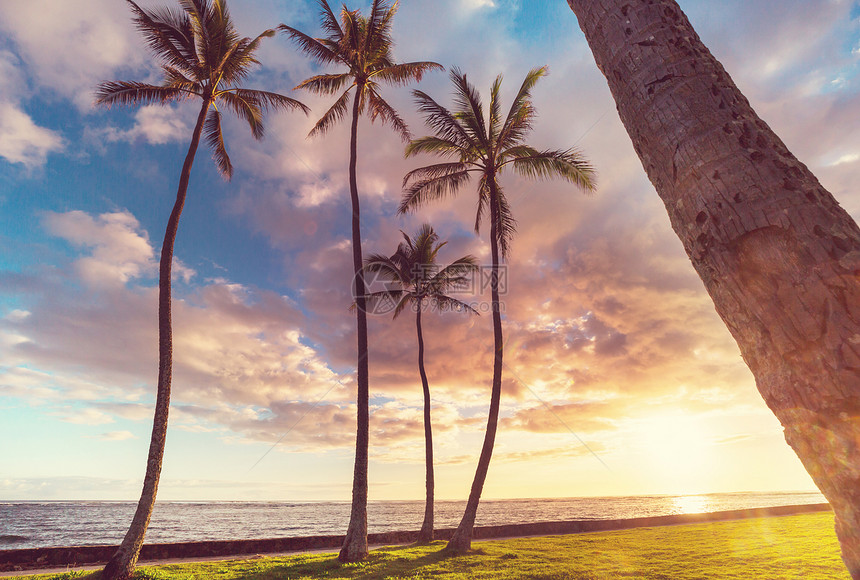 神奇的夏威夷海滩美妙的日落美丽的假日背景图片