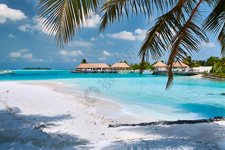 热带海滩度假胜地马尔代夫的暑假图片