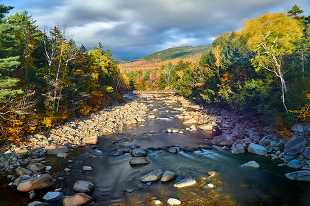斯威夫特河瀑布秋天的白山森林,新罕布什尔州,美国落新英格兰风景高清图片素材