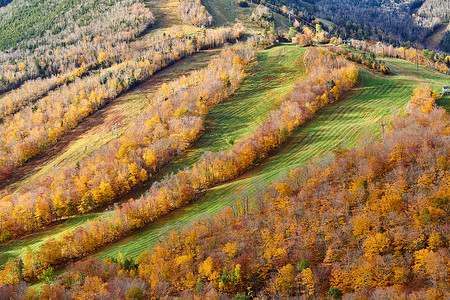 艺术家的虚张声势秋天的景色法国公园的秋天颜色美国新罕布什尔州白山森林背景图片